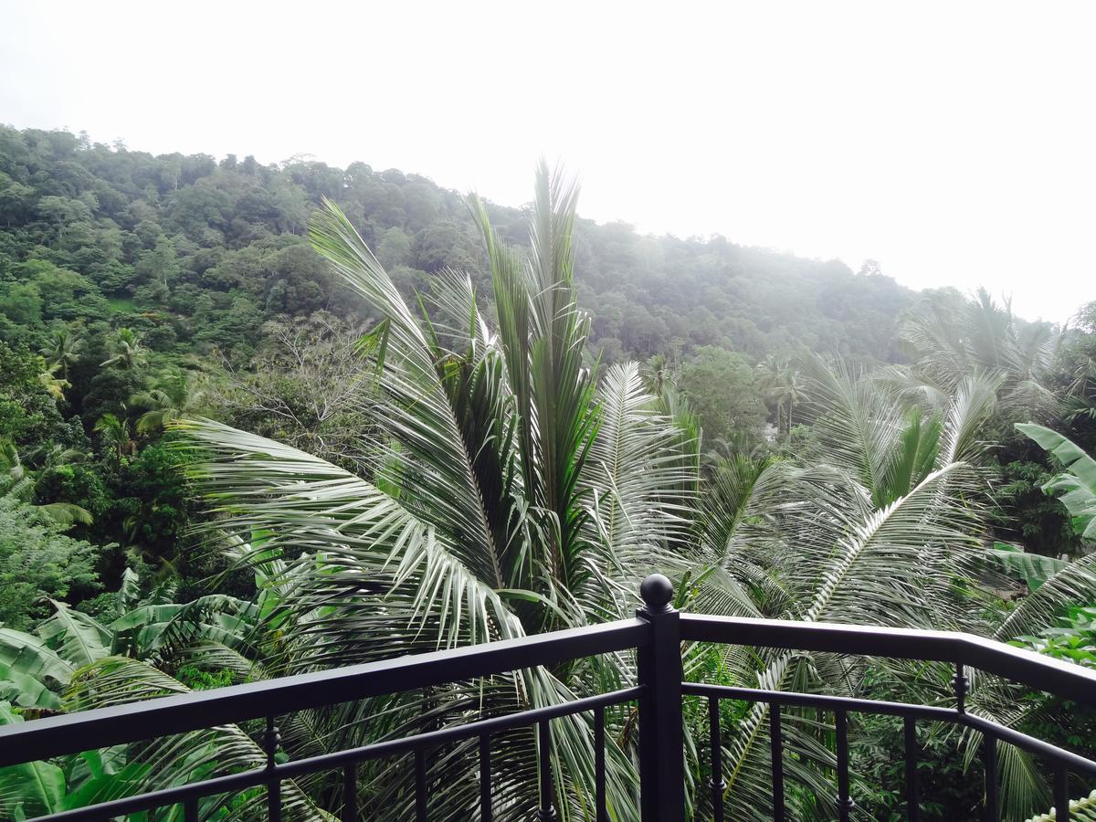 Slightly Chilled Forest Villa Sirimalwatta Exterior foto